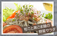 粒ごと黒ごま麺の野菜サラダ